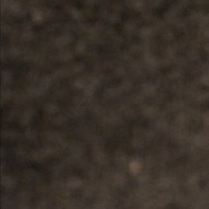 Meet your Posher, Harrison